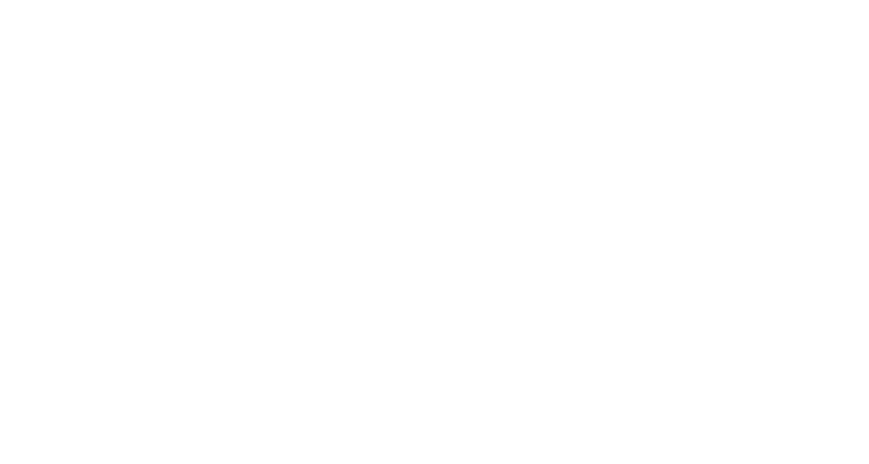 LNG Invest Project